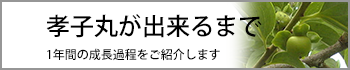 孝子丸が出来るまで